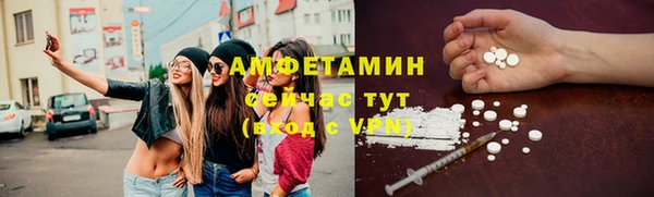 ECSTASY Тайга