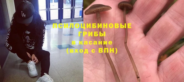 a pvp Белокуриха