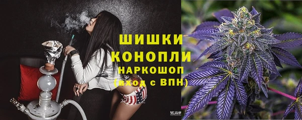 мдпв Богородицк