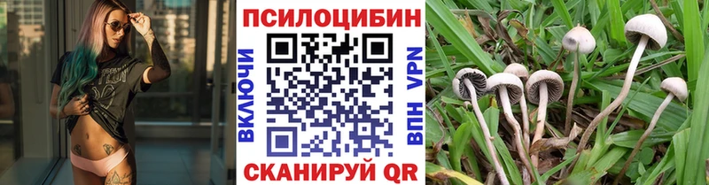 ОМГ ОМГ tor  Верхотурье  Псилоцибиновые грибы мицелий 